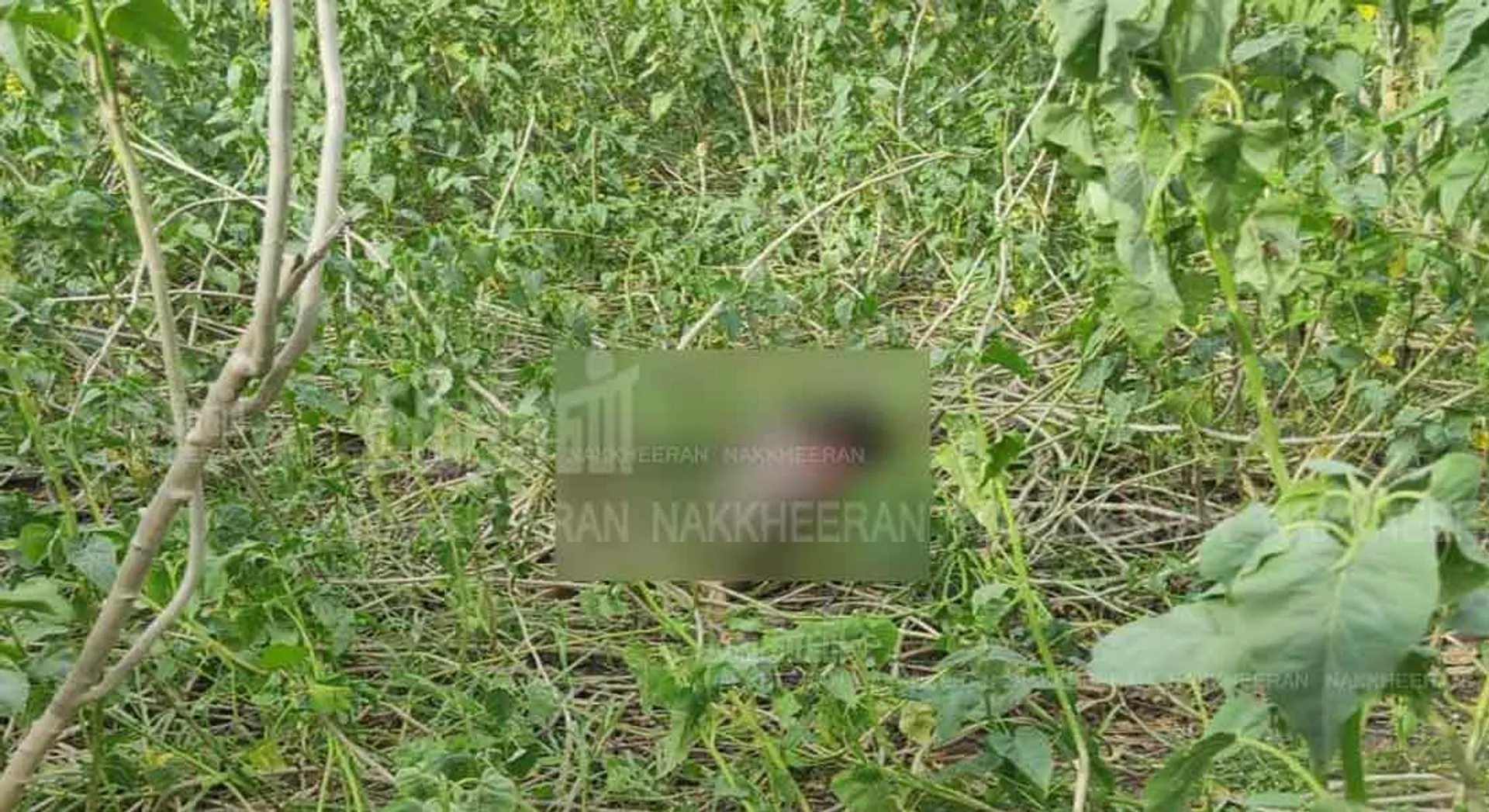 Incident in cuddalore 