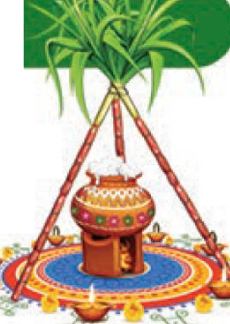 /idhalgal/balajothidam/pongal-perfect-time