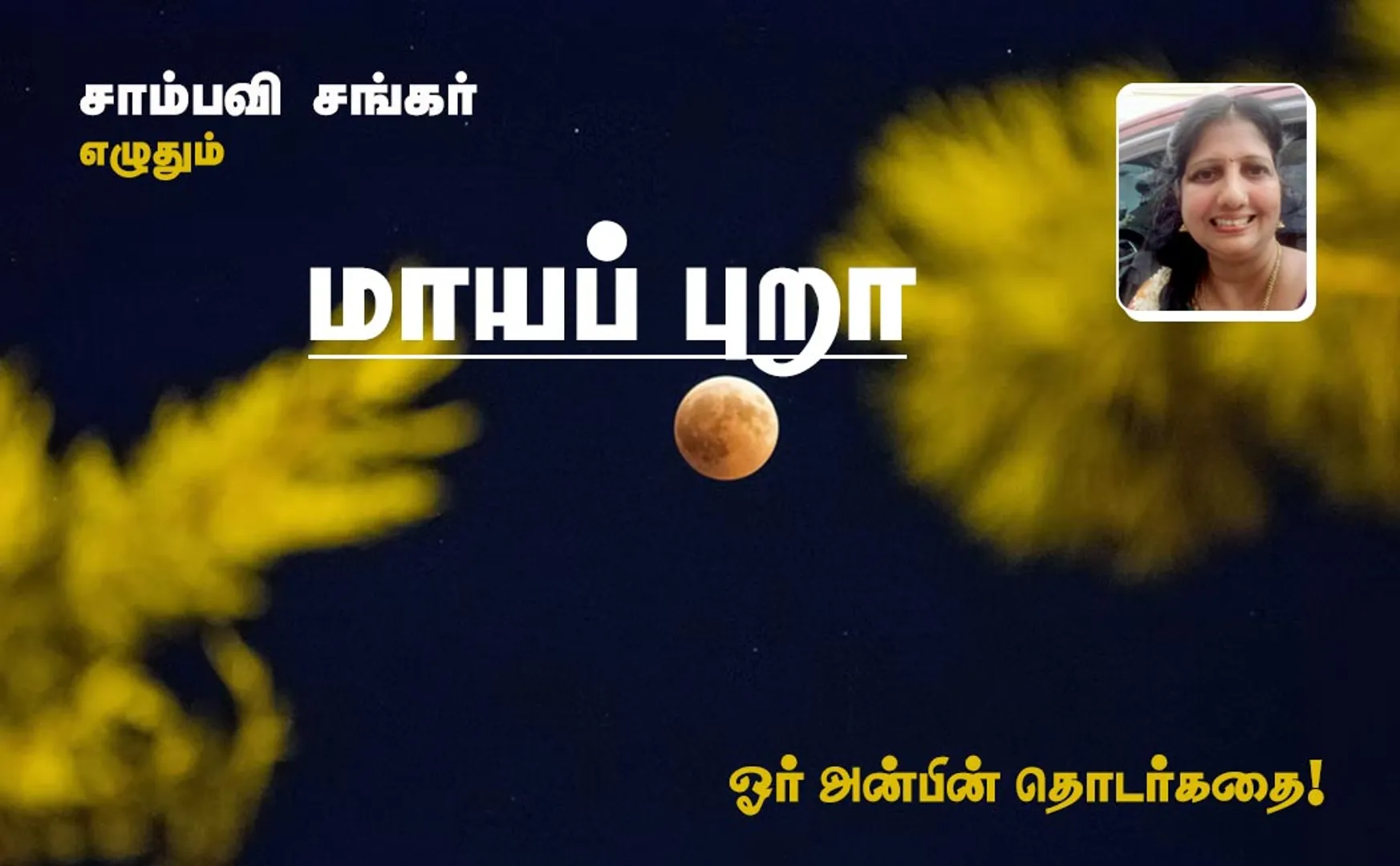 மாயப் புறா