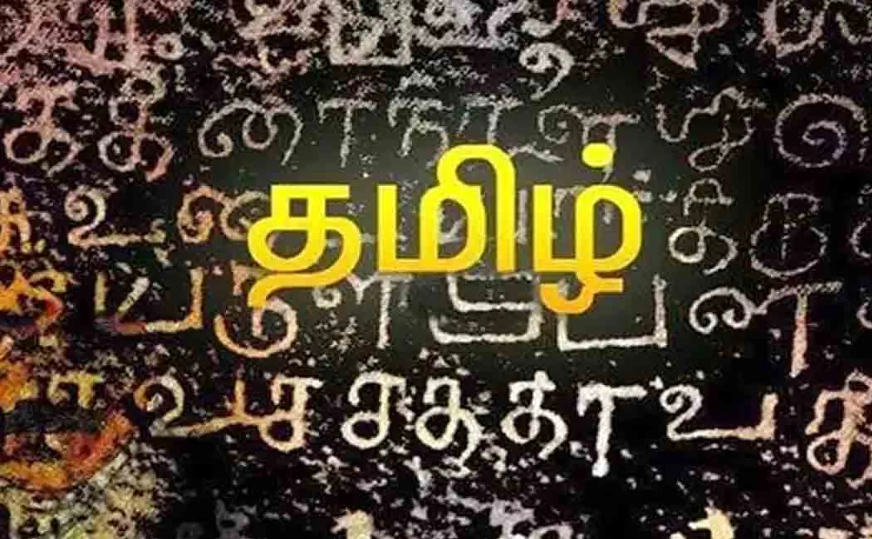 Tamil Festival of the Tamil Association of Korea 2022