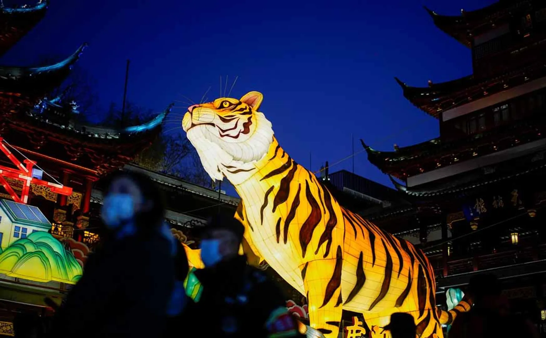 The year of the bull in China is over and the year of the tiger has begun!