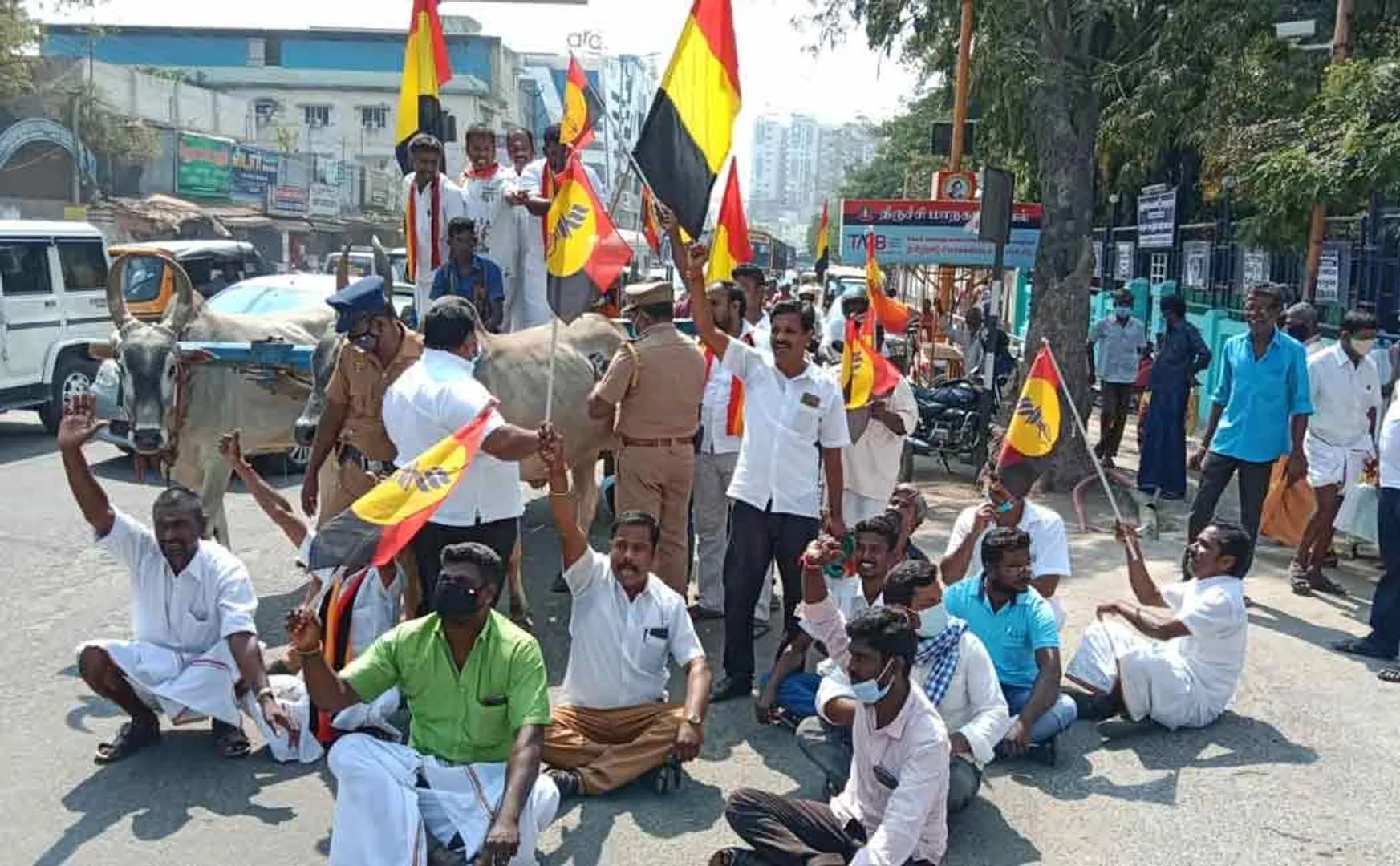 DMDK went in bullcart to file nomination