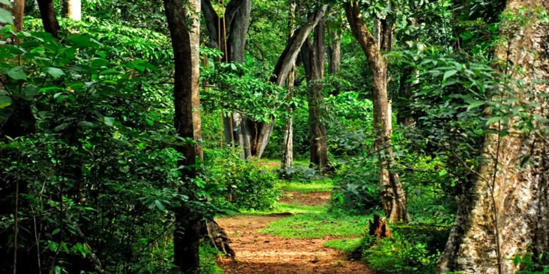 Tamilnadu police surrender to kerala forest department