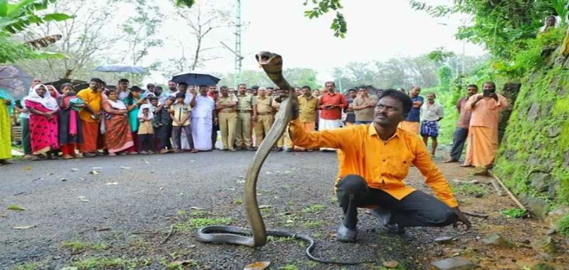  "I will catch snakes as long as I am alive" - Vava Suresh