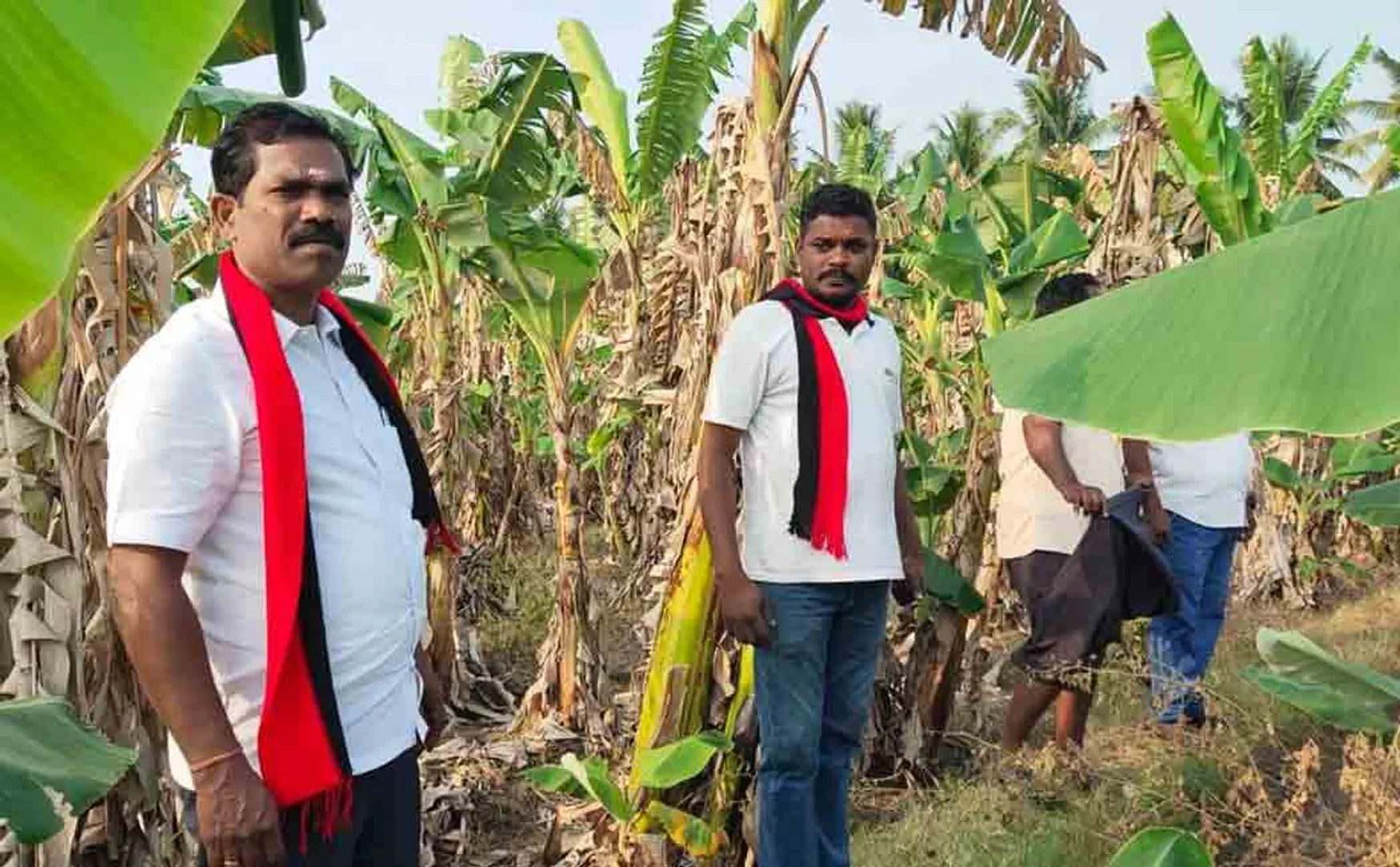 DMK Candidate campaign in dinidgul 