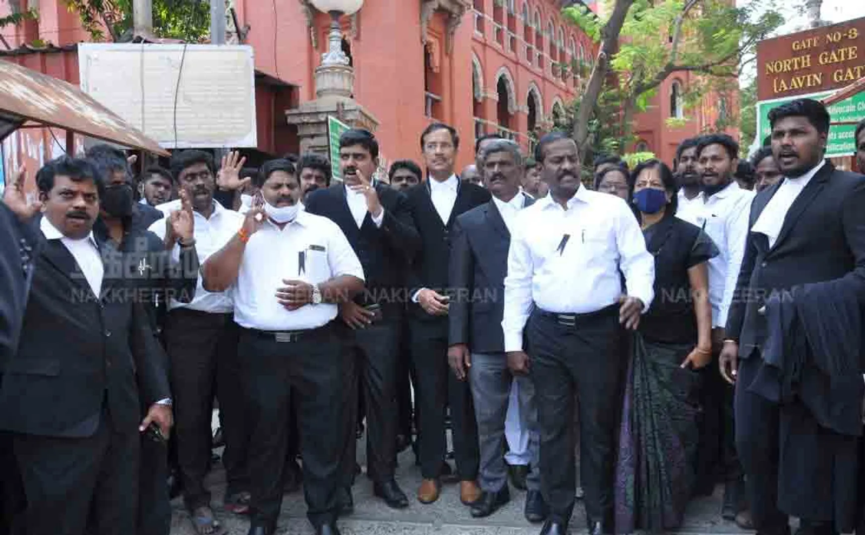 Lawyers struggle 