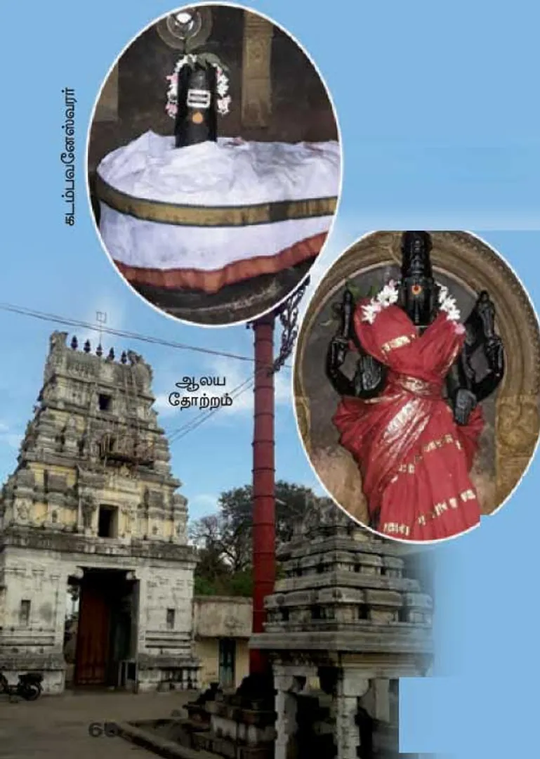 /idhalgal/om/ashram-created-by-kandan-kadambavanam-palangamoor-moganesh