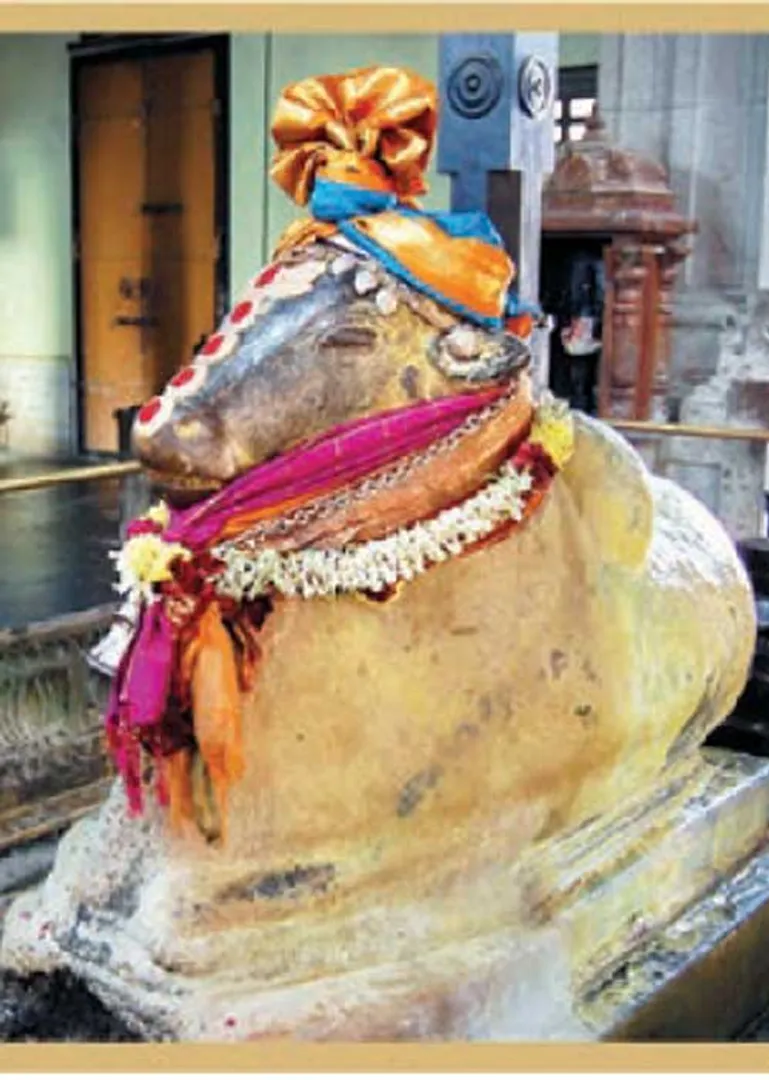 /idhalgal/om/ghee-nandeeswarar-senthil-nagapan