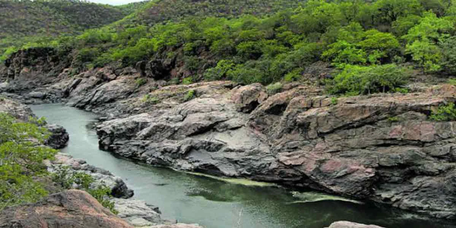  1000 crore to build Megha Dadu dam? - Tamil Nadu government condemns!