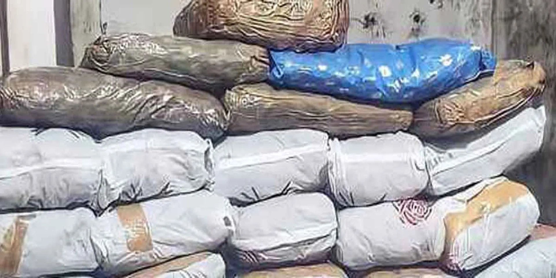  Seized cannabis smuggled to Sri Lanka