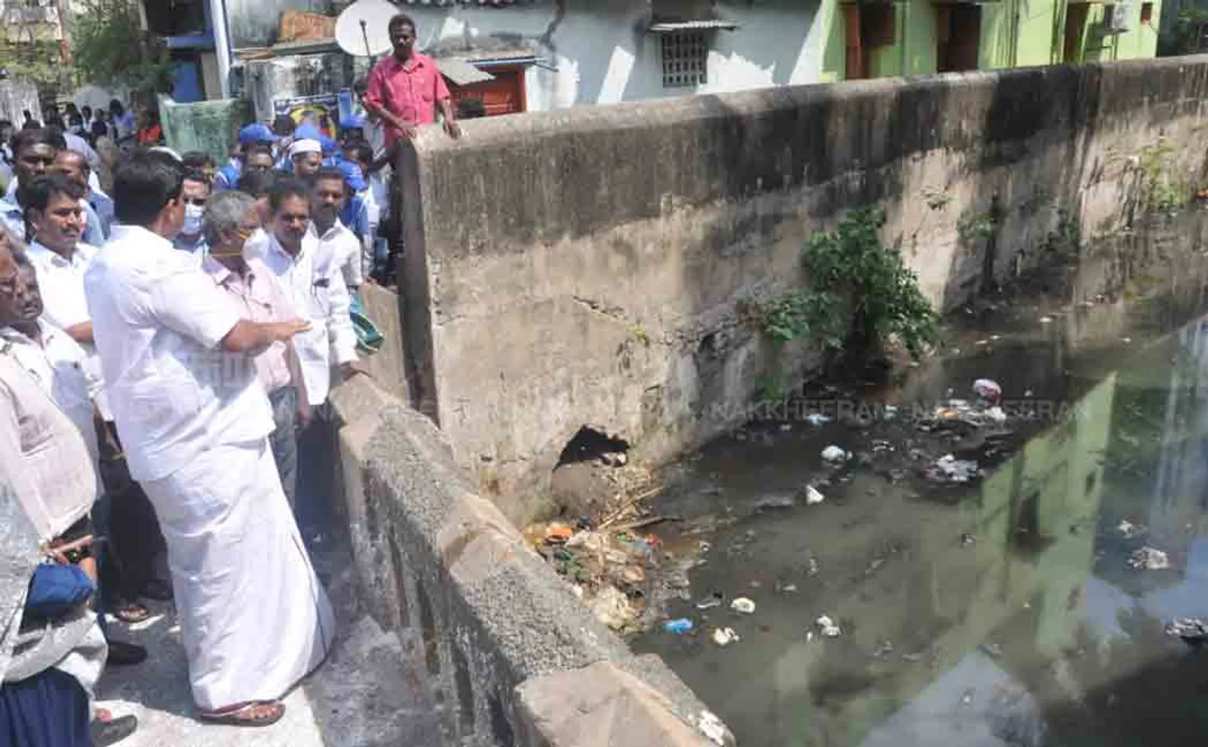Chennai Deputy Mayor who came to the field! 