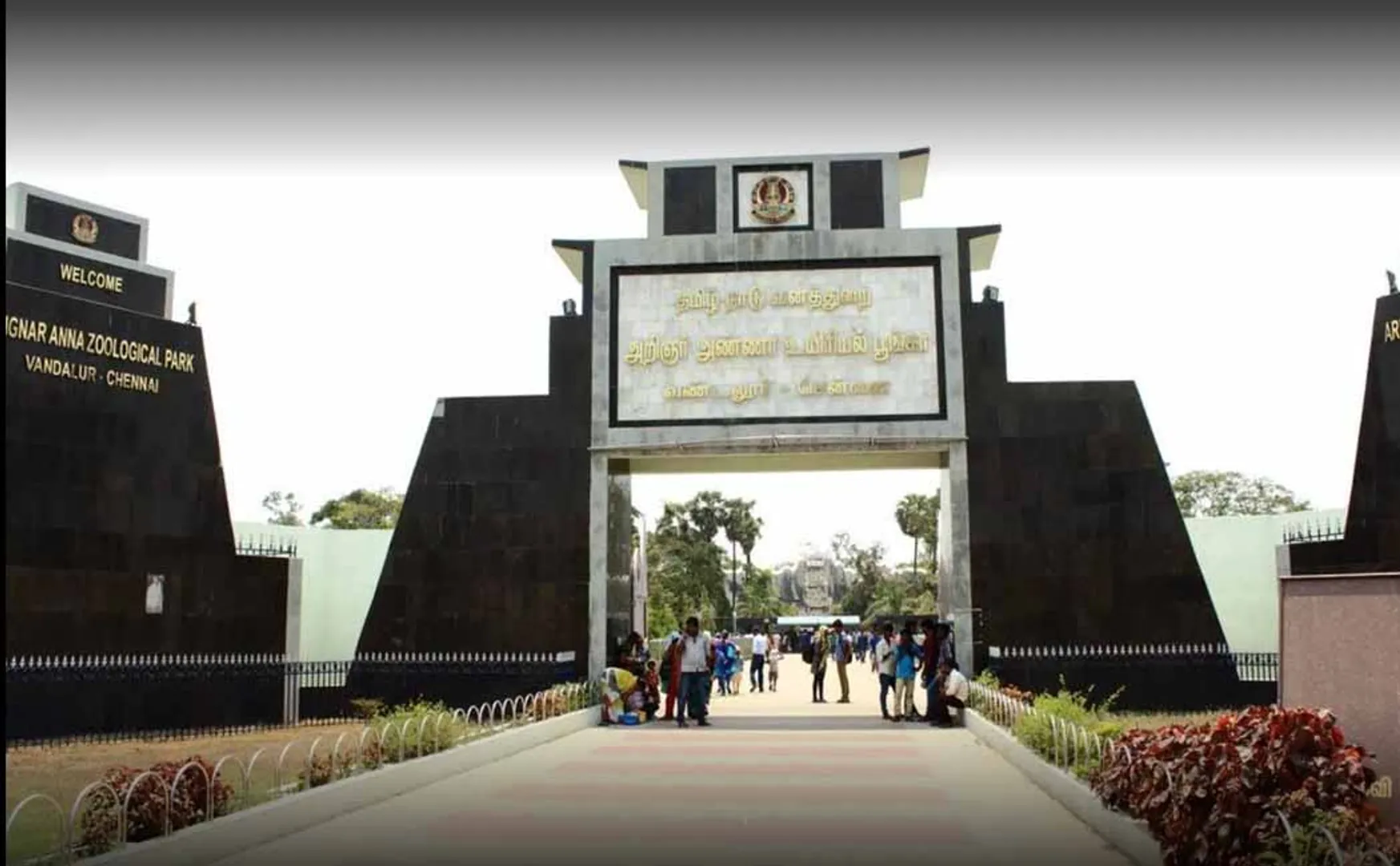 Govt allocates Rs 6 crore for Vandalur zoo