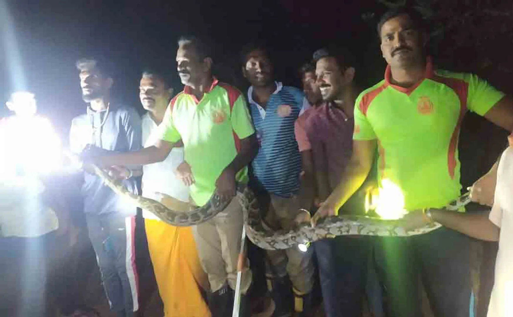 Mountain snake enters farmer's house!