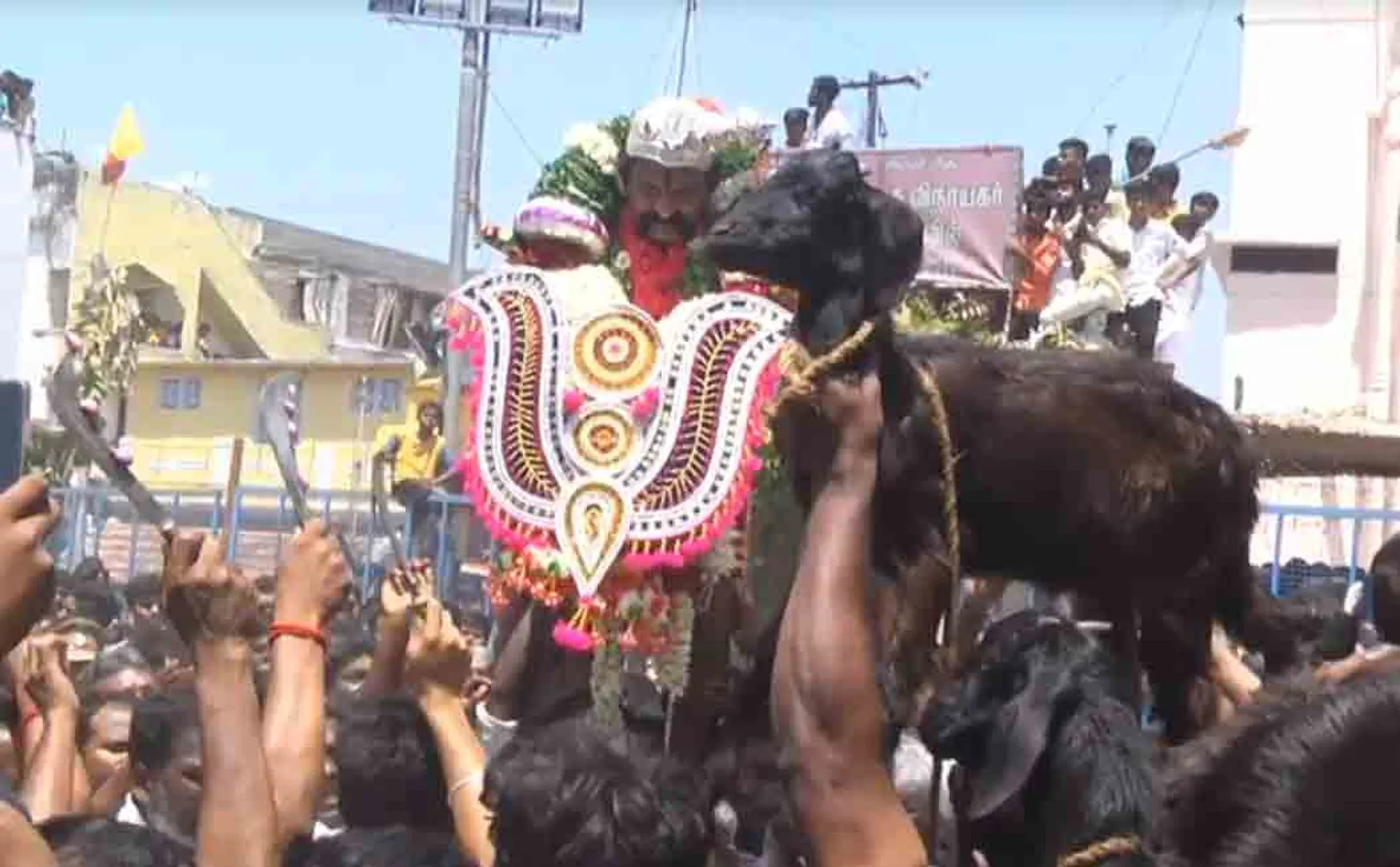 Temple Festival 