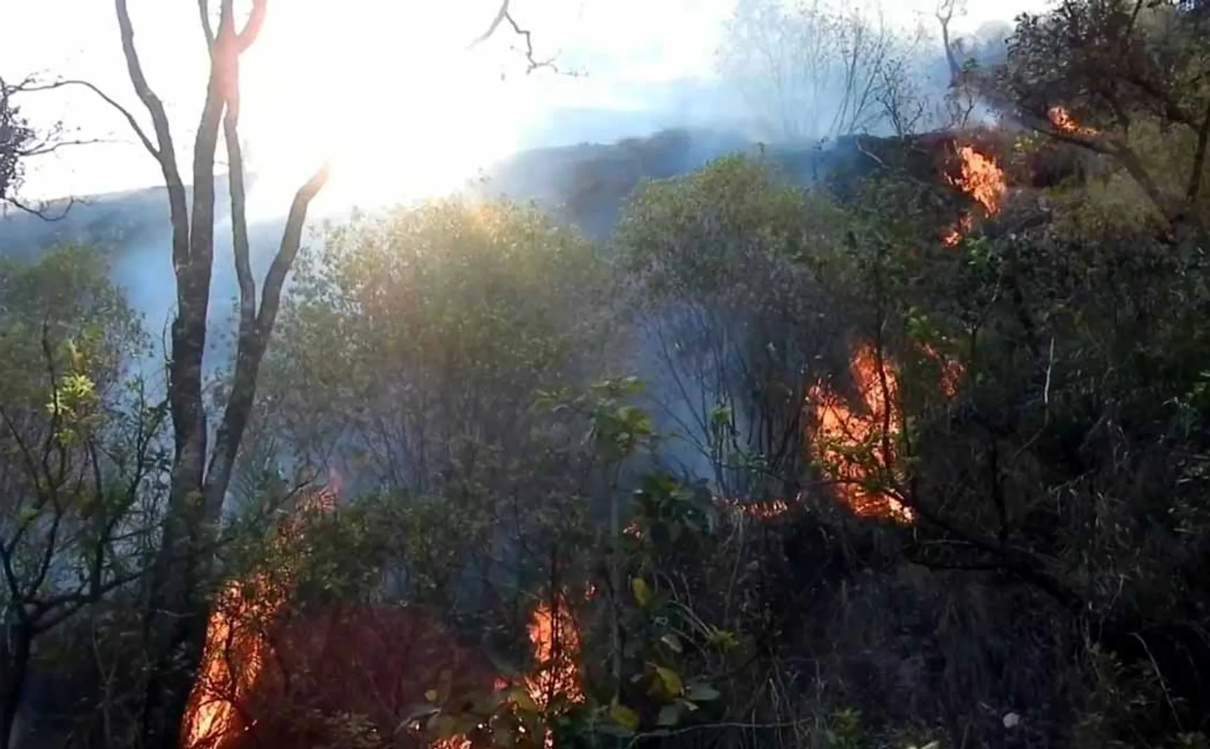 kodaikanal forest area incident forest officers water 