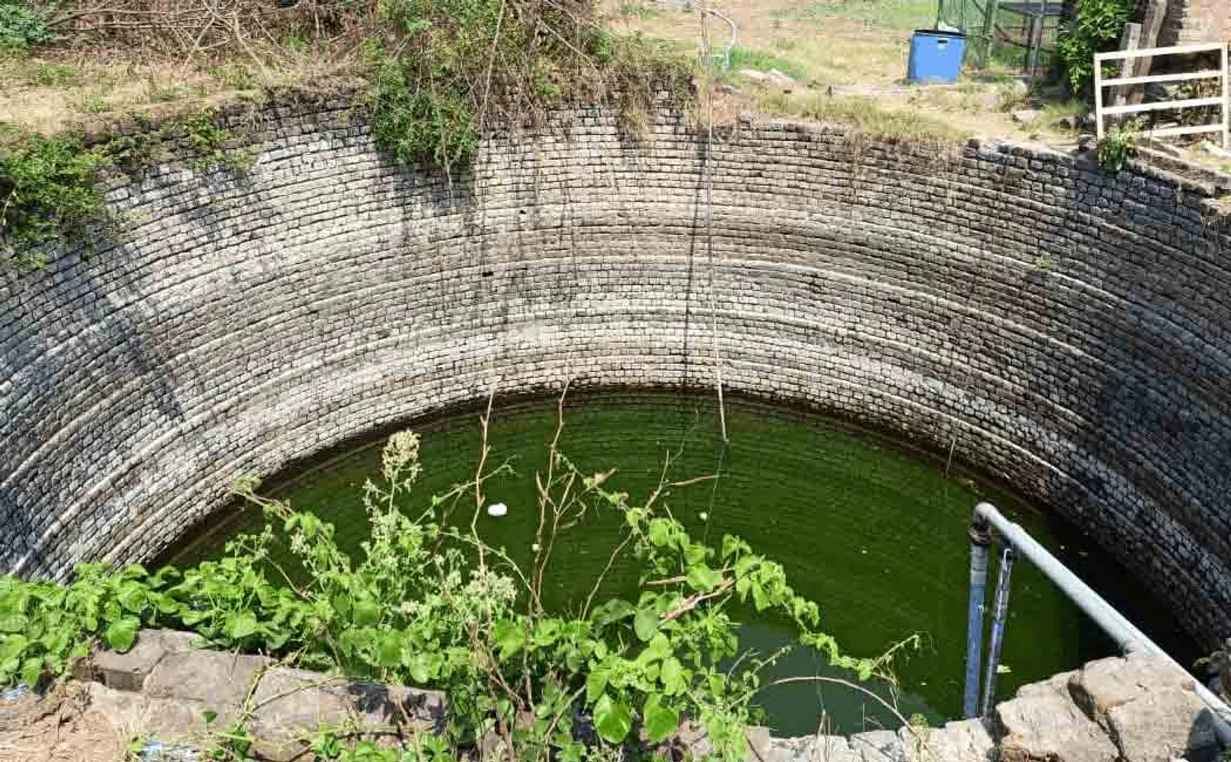 Chased police! The young man who jumped into the well!