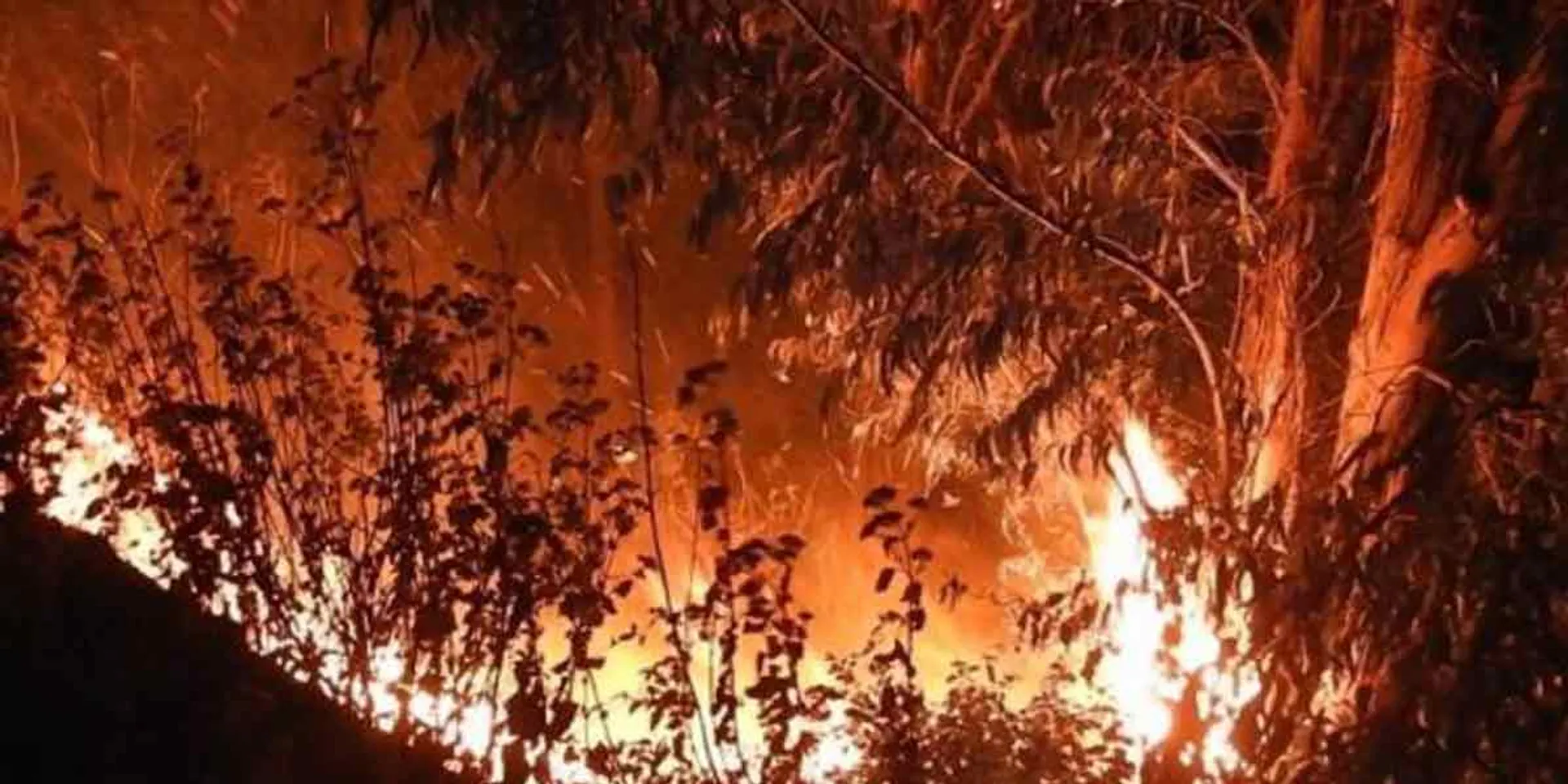 Wildfire burning about the 6th day ... Kodaikanal in fear!