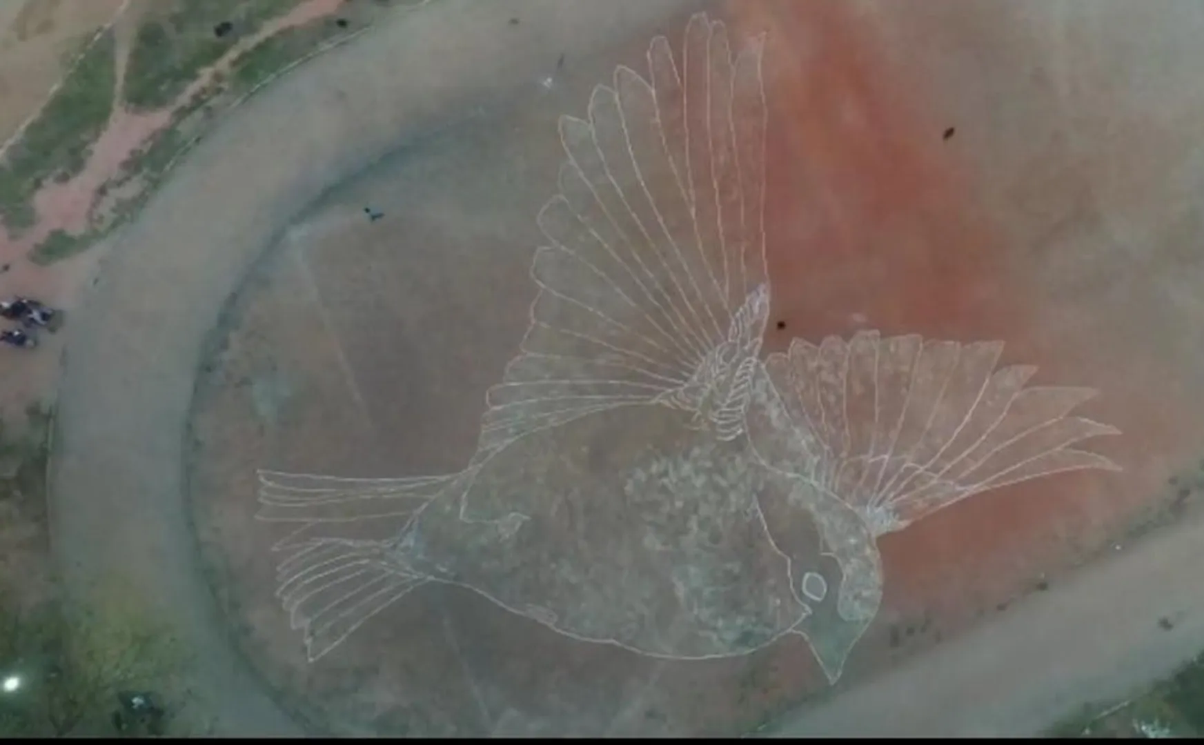 Engineering student who created a portrait of a sparrow with 400 kg of grains!