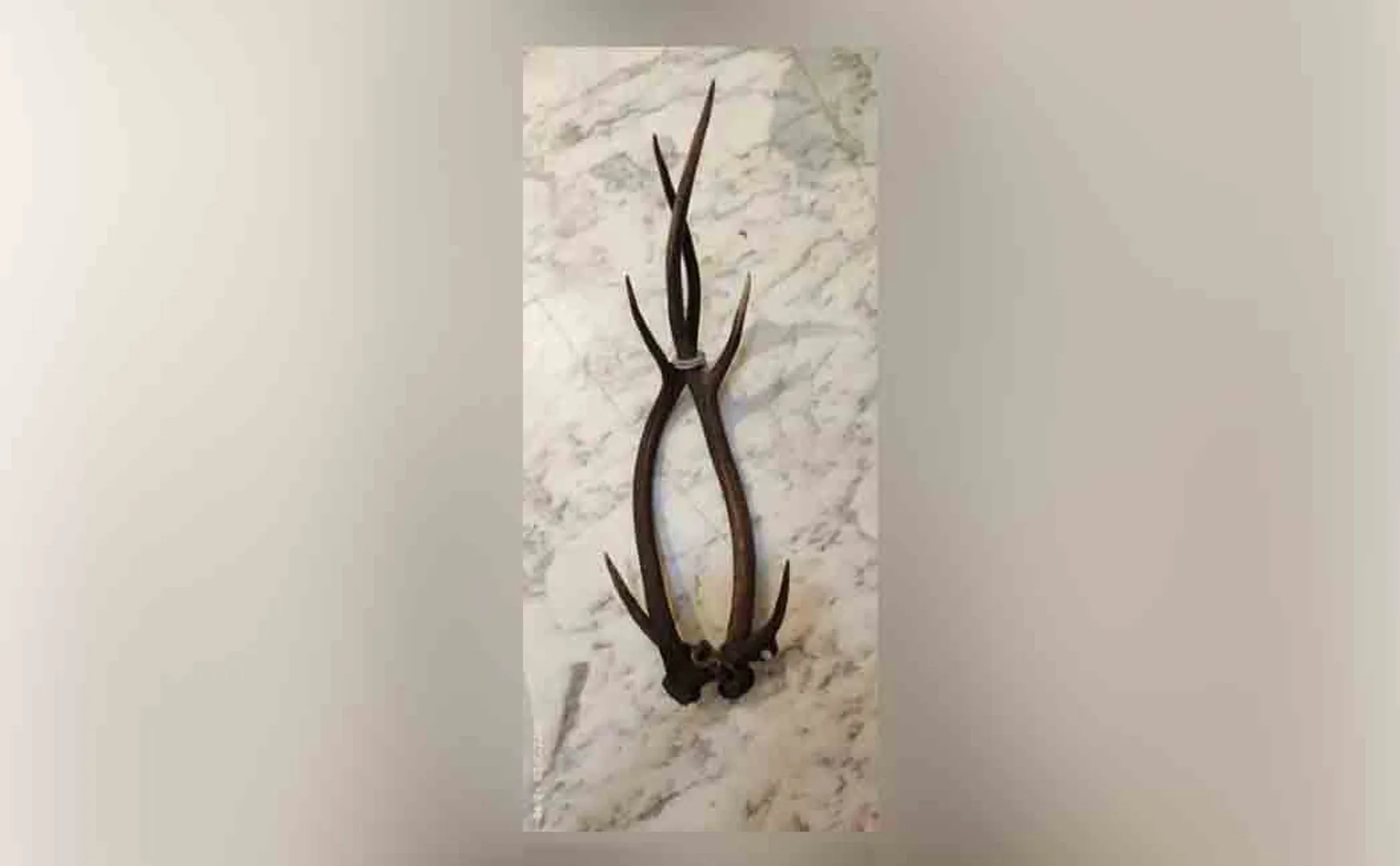 Deer com hoarding; 5 fined, including jeweler  