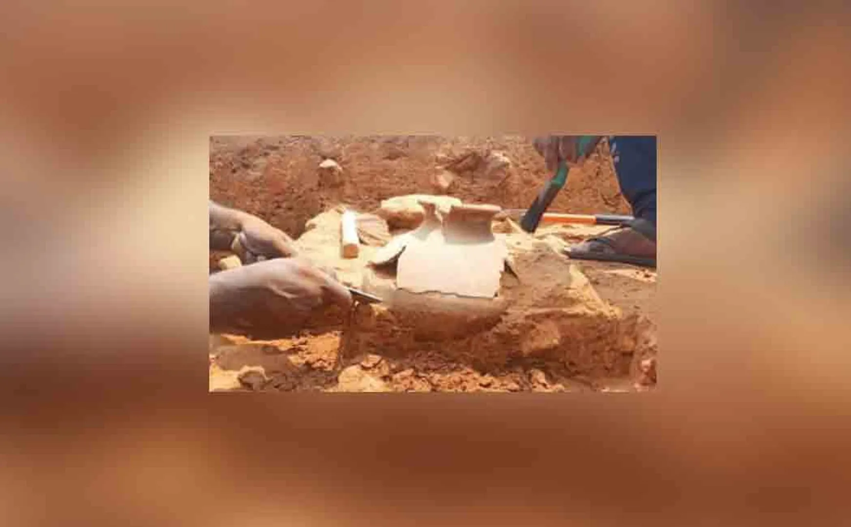 Discovery of the palace wall of the Cholas!