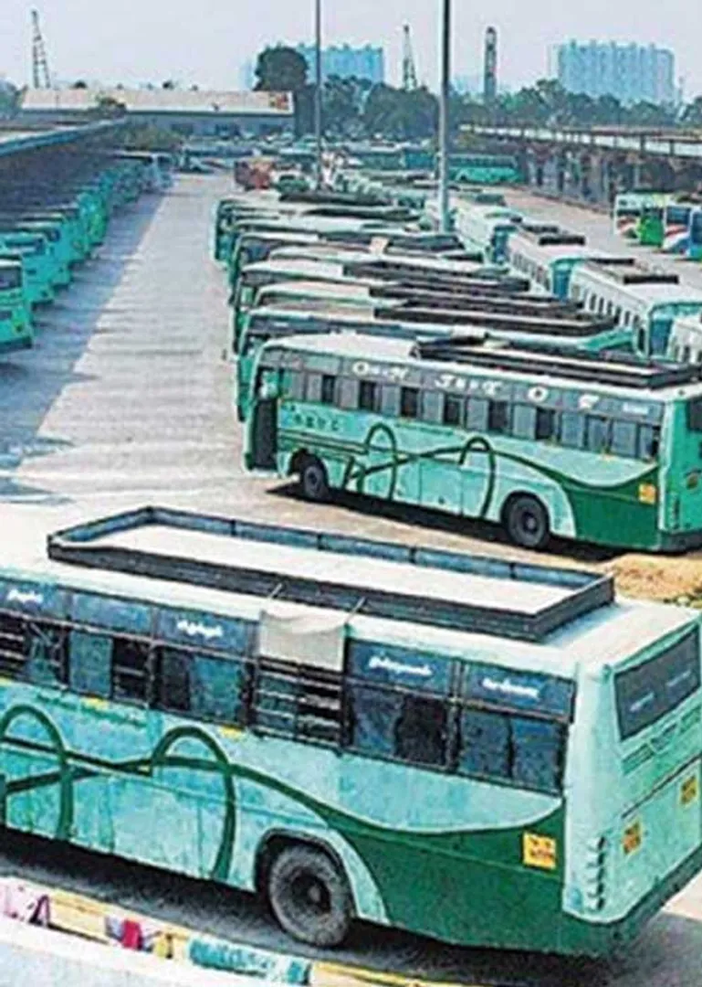 bus