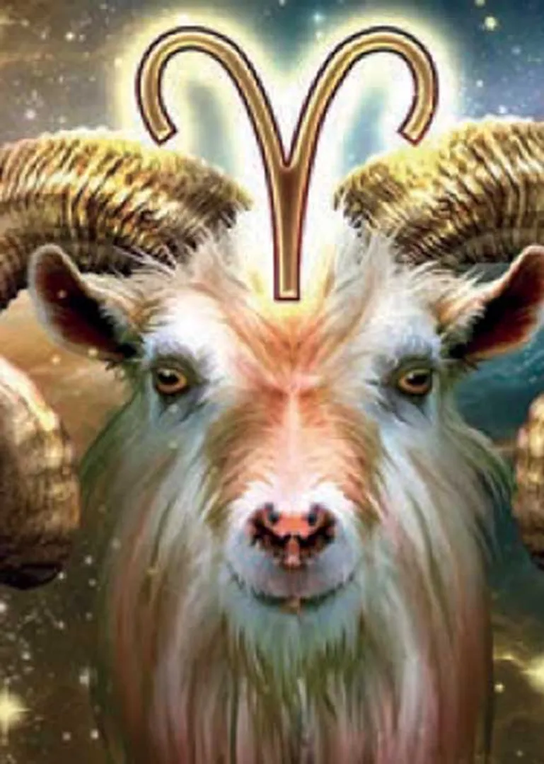 /idhalgal/balajothidam/uniqueness-aries-paranitharan