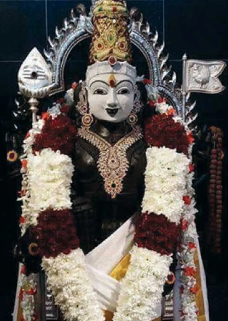 /idhalgal/balajothidam/highlight-janma-laknath