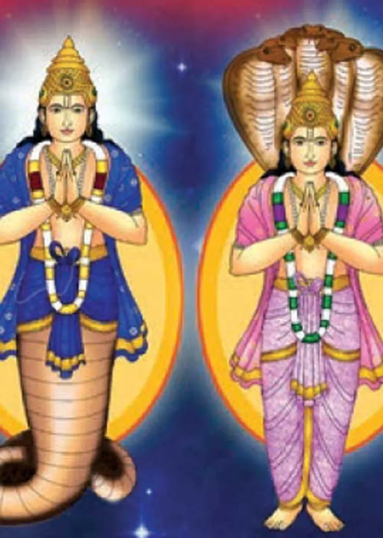 /idhalgal/balajothidam/rahu-ketu-tosha-rules-marriage-match