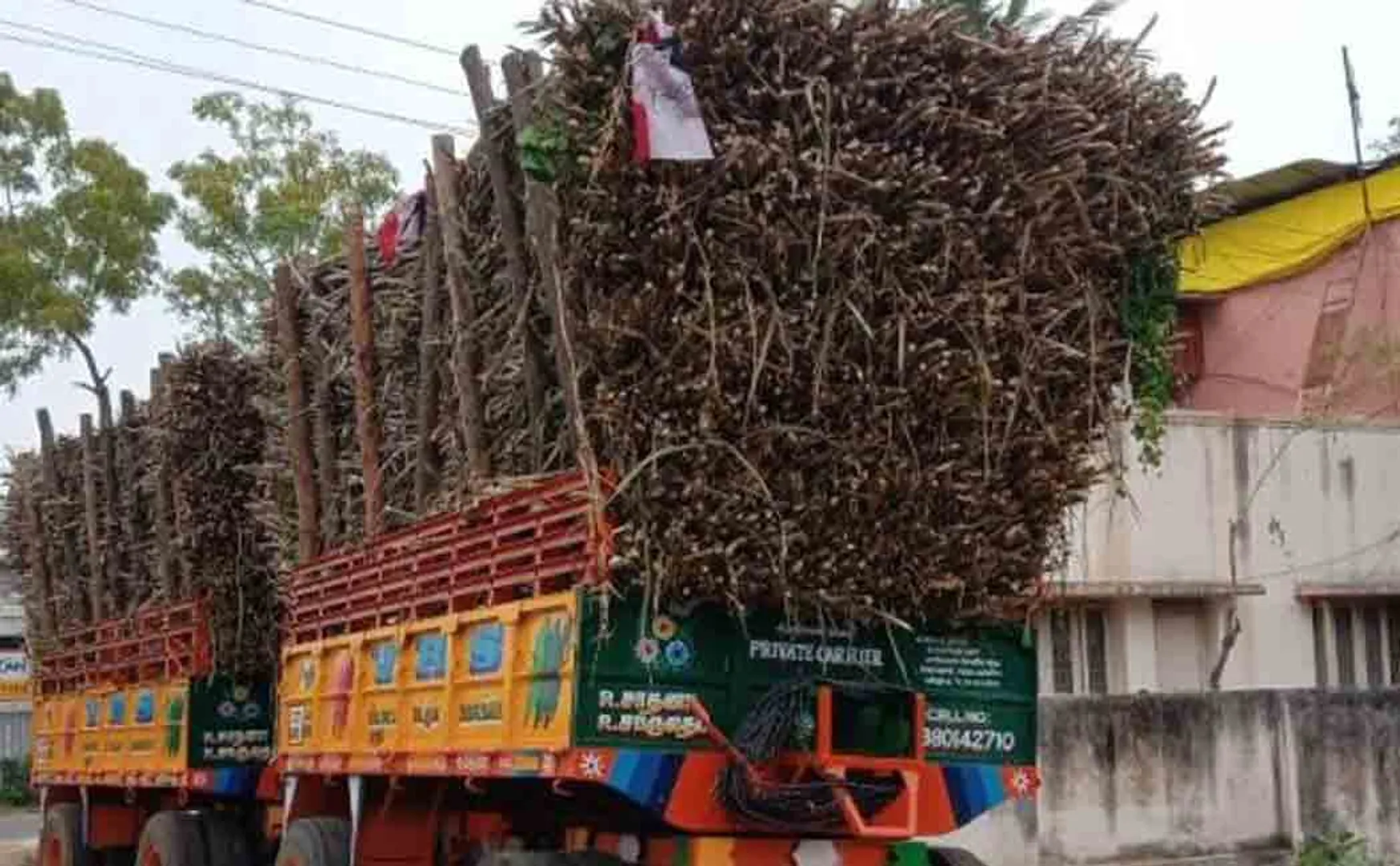 People struggle by capturing a lorry loaded with sugarcane!