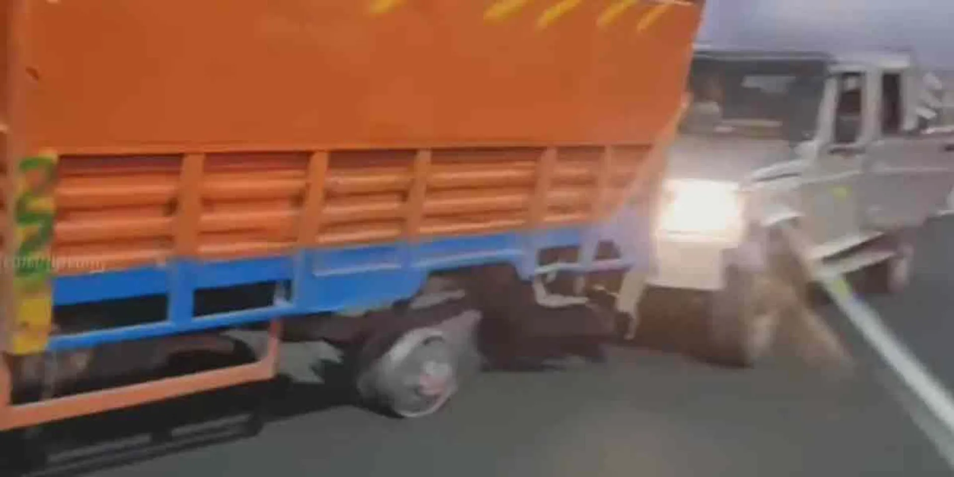 the police who chase 22 kilometers and catch the cow-stealing gang!