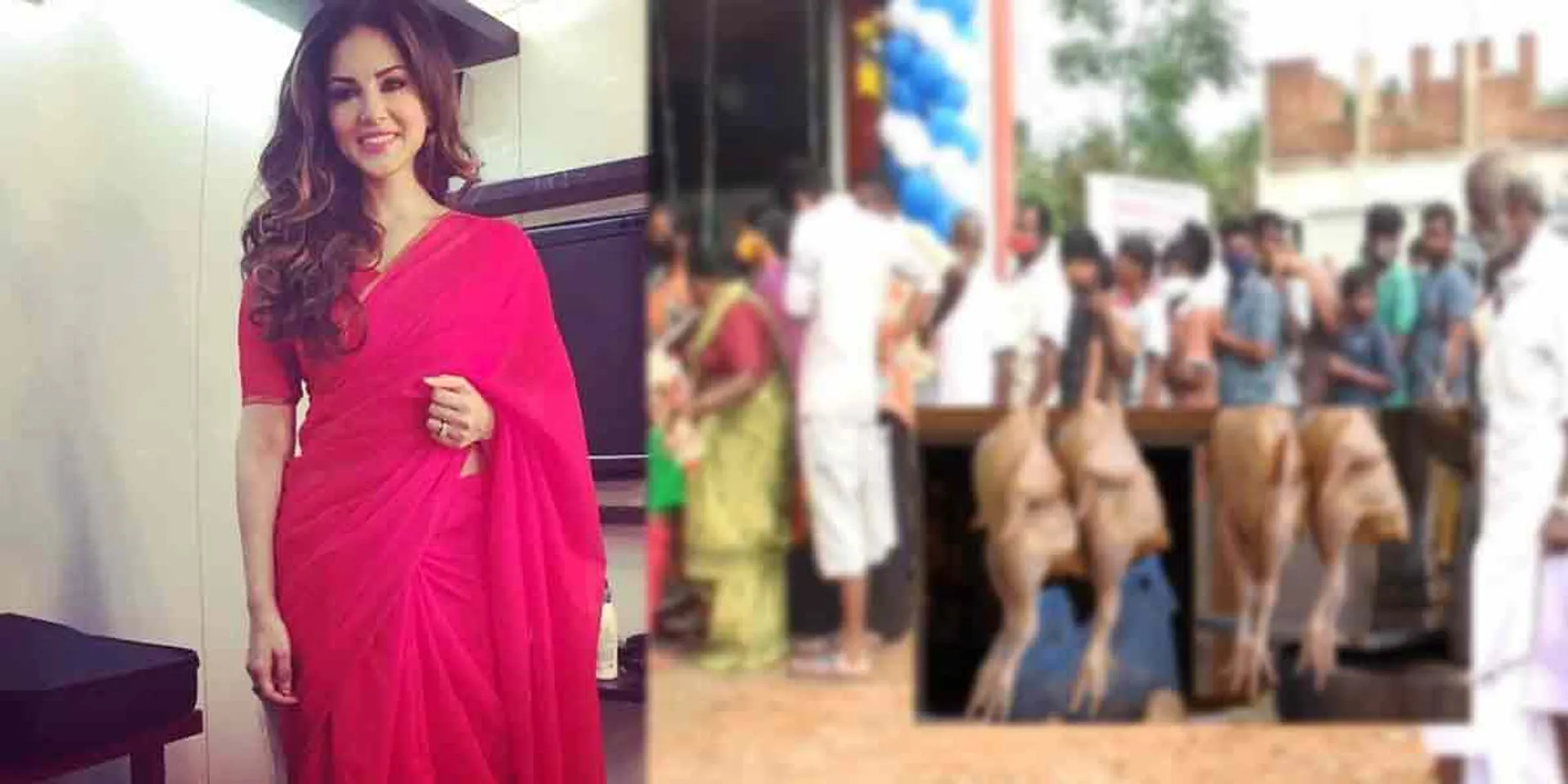 10% off if you praise sunnyleone...  chicken shop!