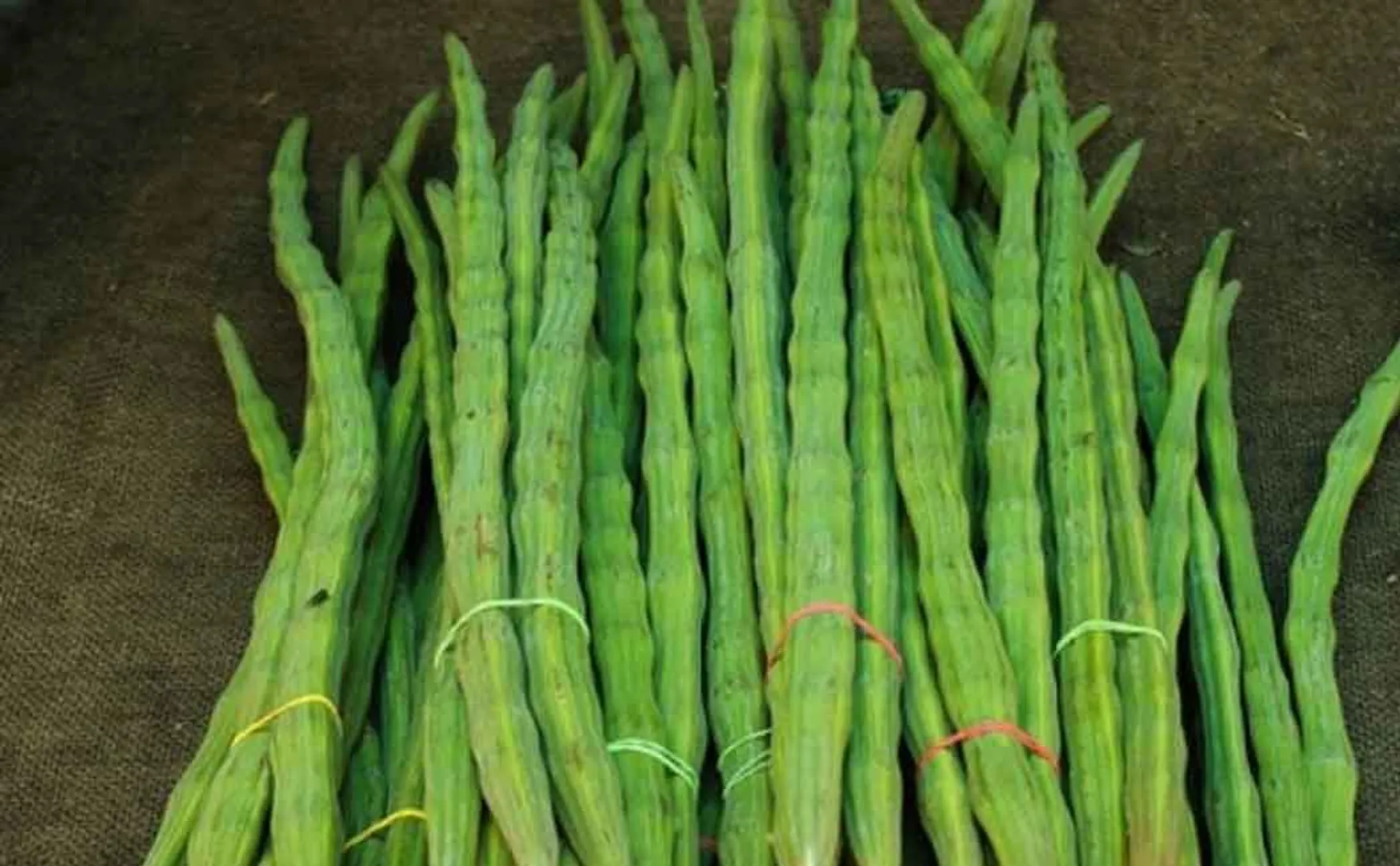 Drumstick price down 