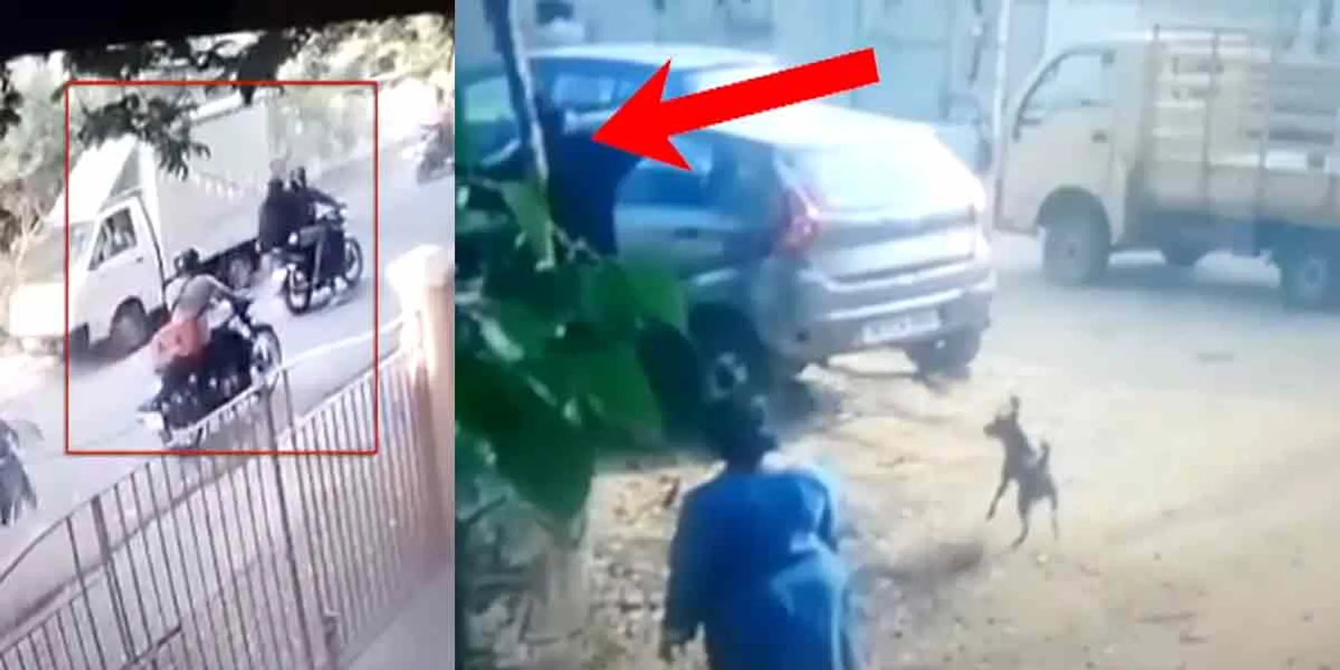 College student assaulted for buying alcohol ... 4 arrested!