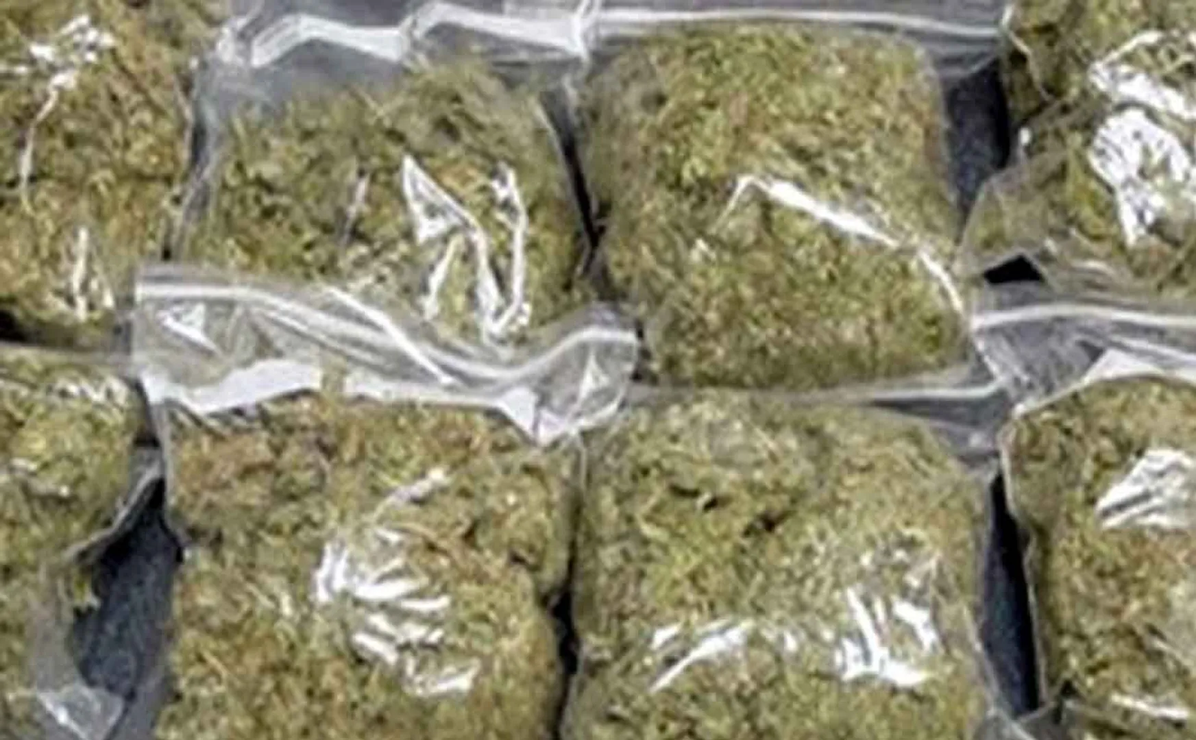 14 kg of cannabis seized from train