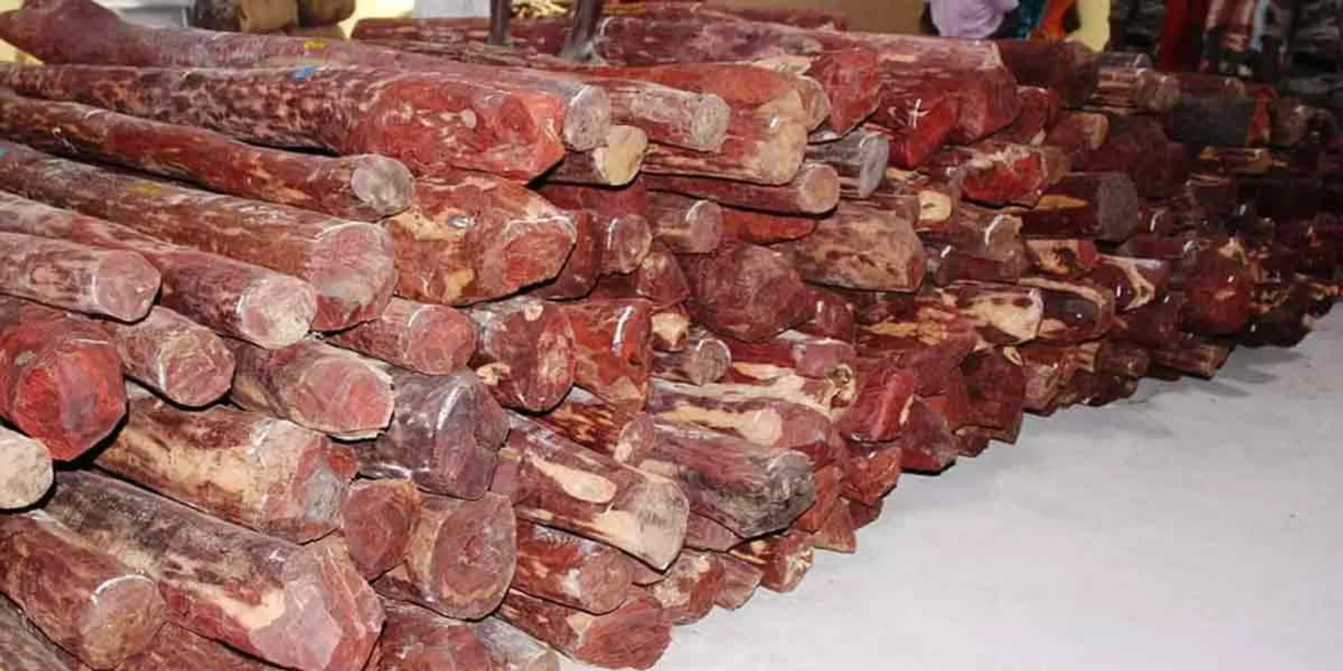  7 tonnes of timber seized in Thoothukudi