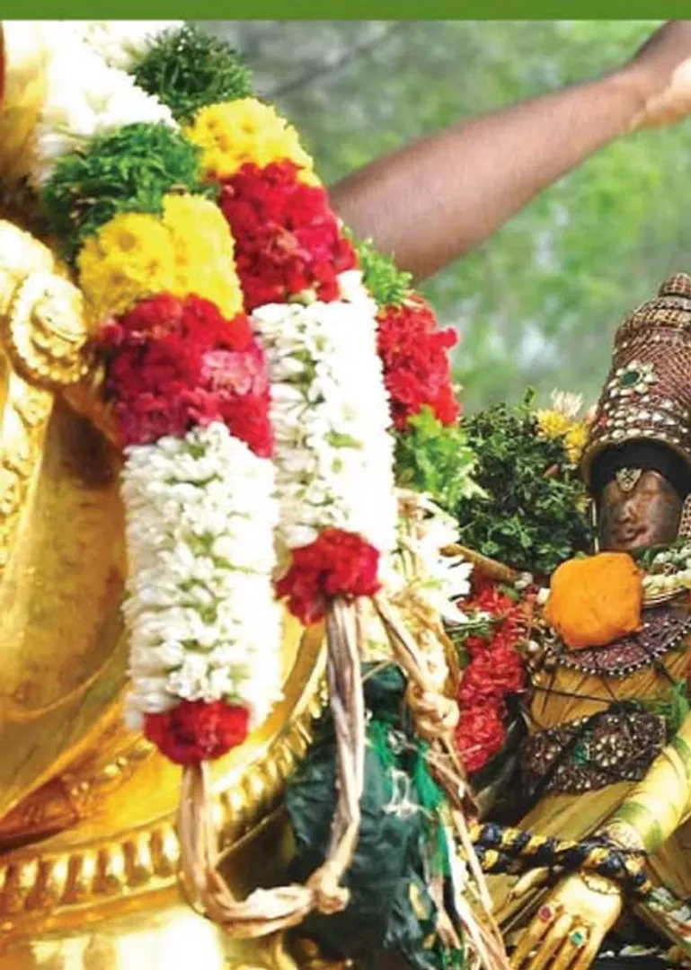 /idhalgal/om/weekly-weekly-beauty-weekly-beauty-week-s-vijayanarasimhan
