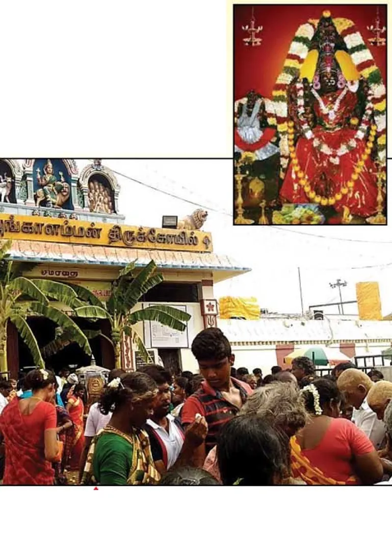 /idhalgal/om/ataivaraukairaala-anakaalamamana-s-p-seker
