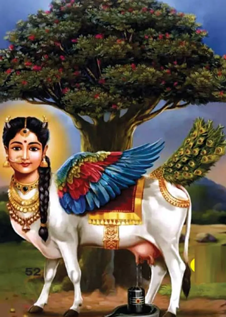 /idhalgal/om/komata-50-special-information-kovilamboondi-p-balajiganesh