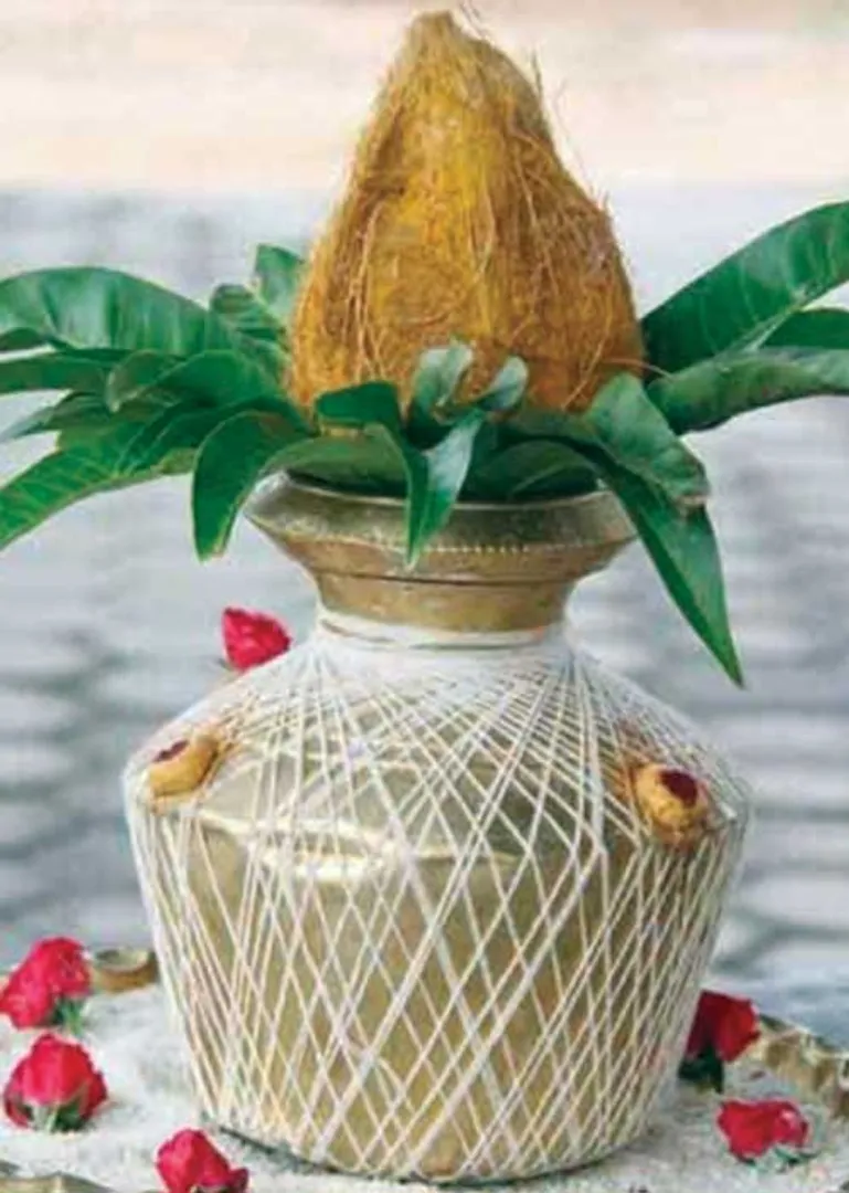 /idhalgal/om/why-put-coconuts-family