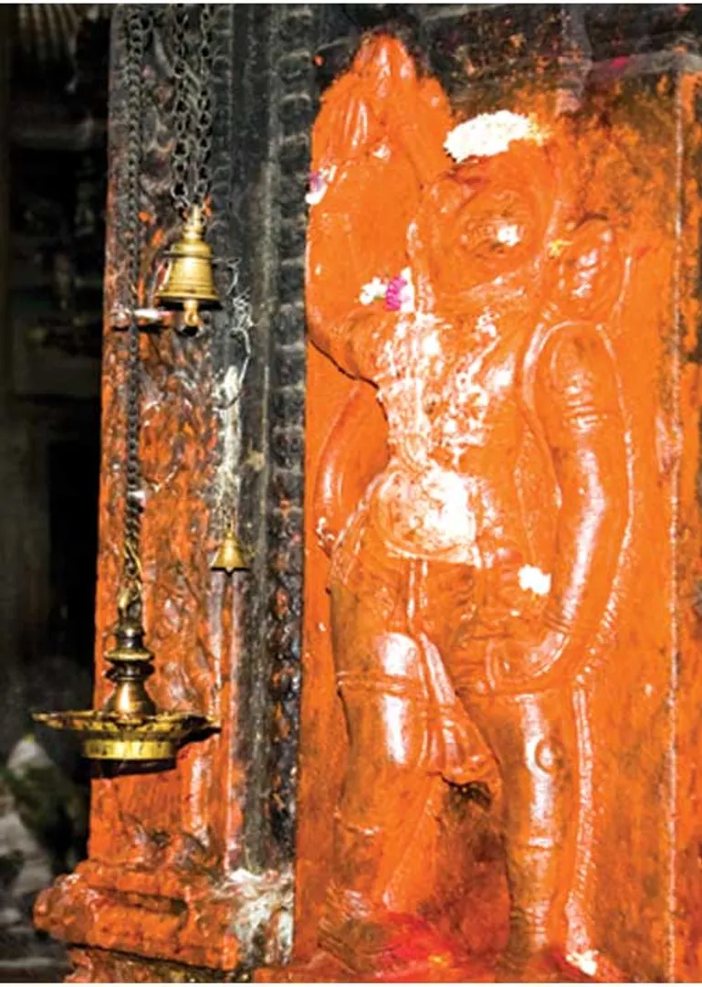 /idhalgal/balajothidam/bugs-and-remedies-s-vijayanarasimhan