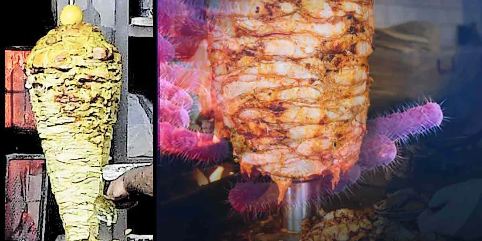  virus in Shawarma ... shock in Kerala!