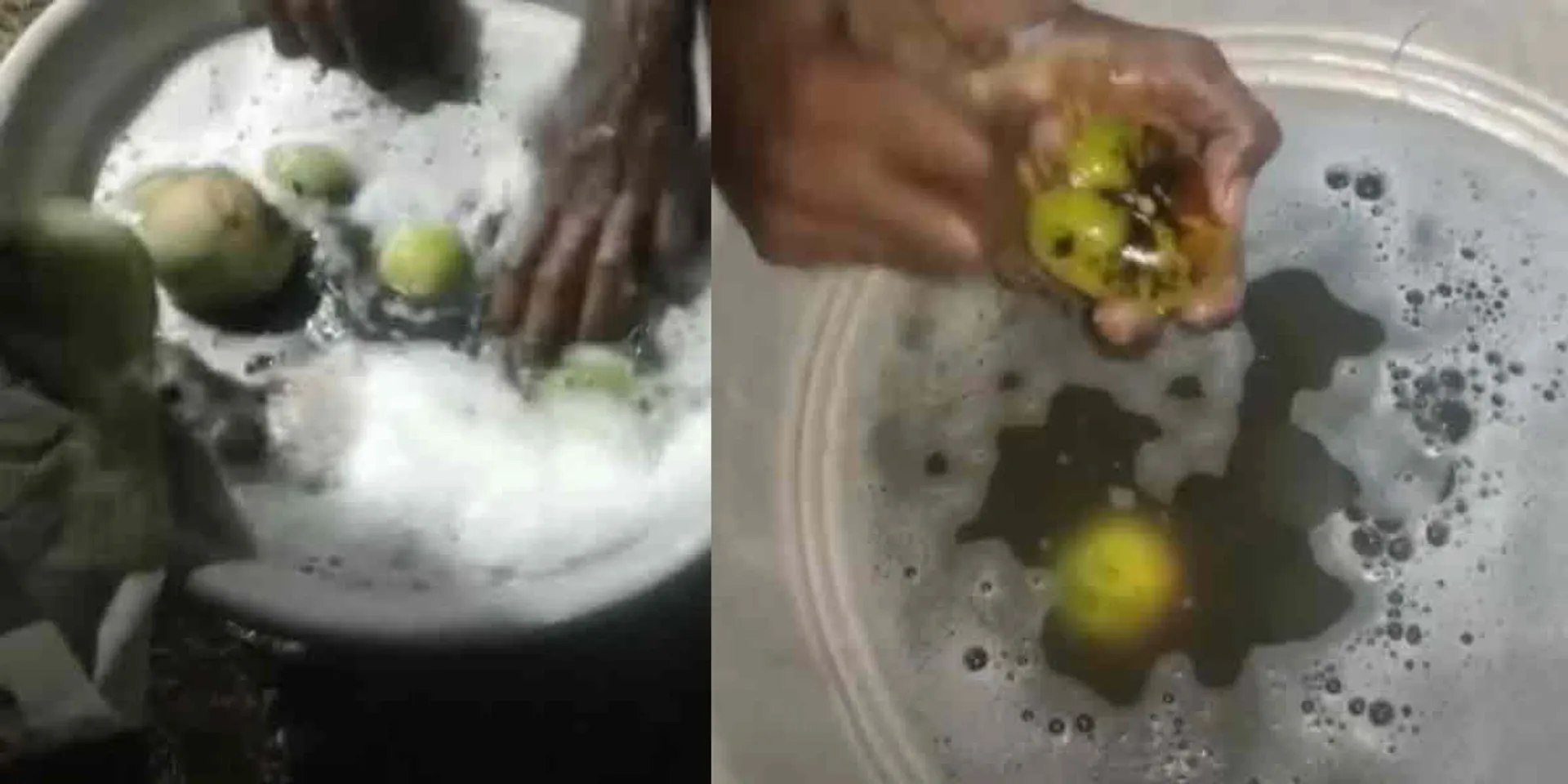 Mangoes soaked in soap powder ... shocking video released!