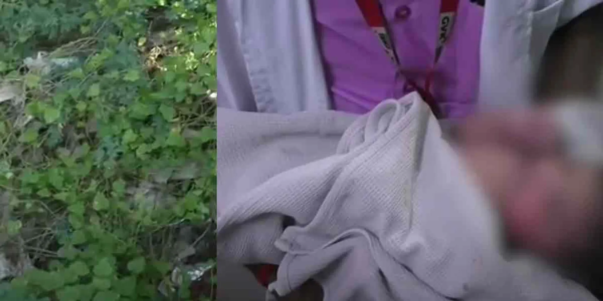 child in the bush ... Police investigation!