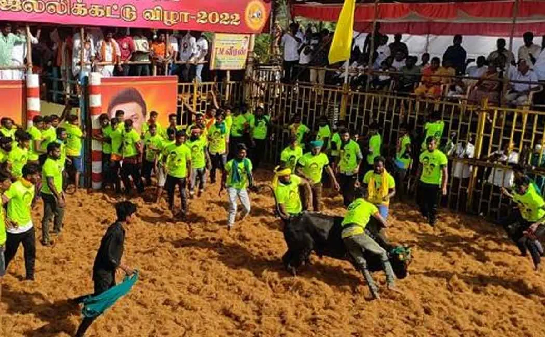 Salem District Nilvarapatti jallikattu festival 