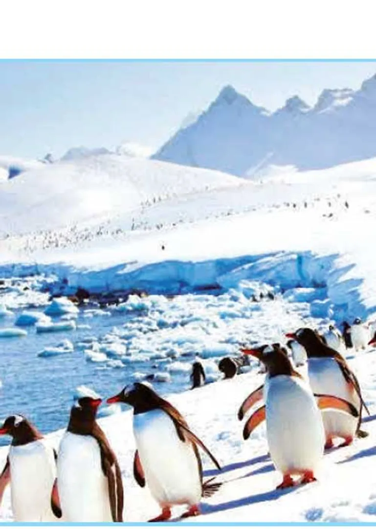 /idhalgal/general-knowledge/international-antarctica-treaty