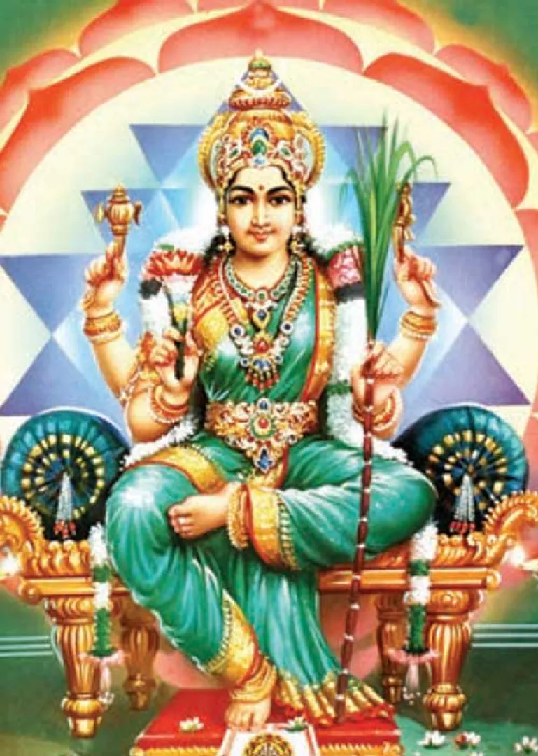/idhalgal/balajothidam/wealth-abounds-almanac-secrets-prasanna-astrologer-i-anandi