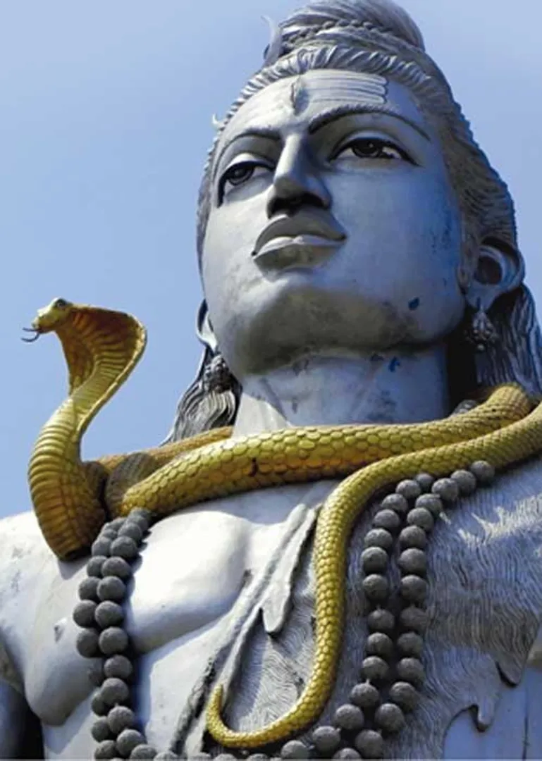 /idhalgal/om/may-zodiac-benefits-cs-naanamauratatai