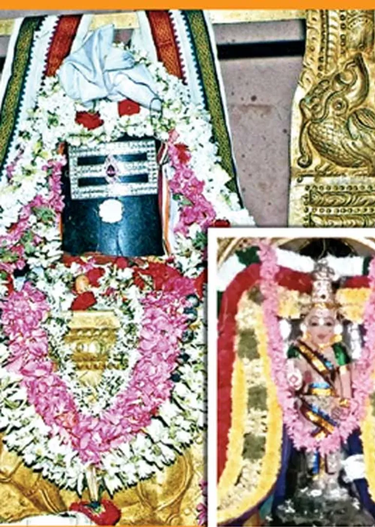 /idhalgal/om/koorainadu-punugeswarar-perfect-beneficiary-if-worshiped-properly-kaovaai-araumaukama
