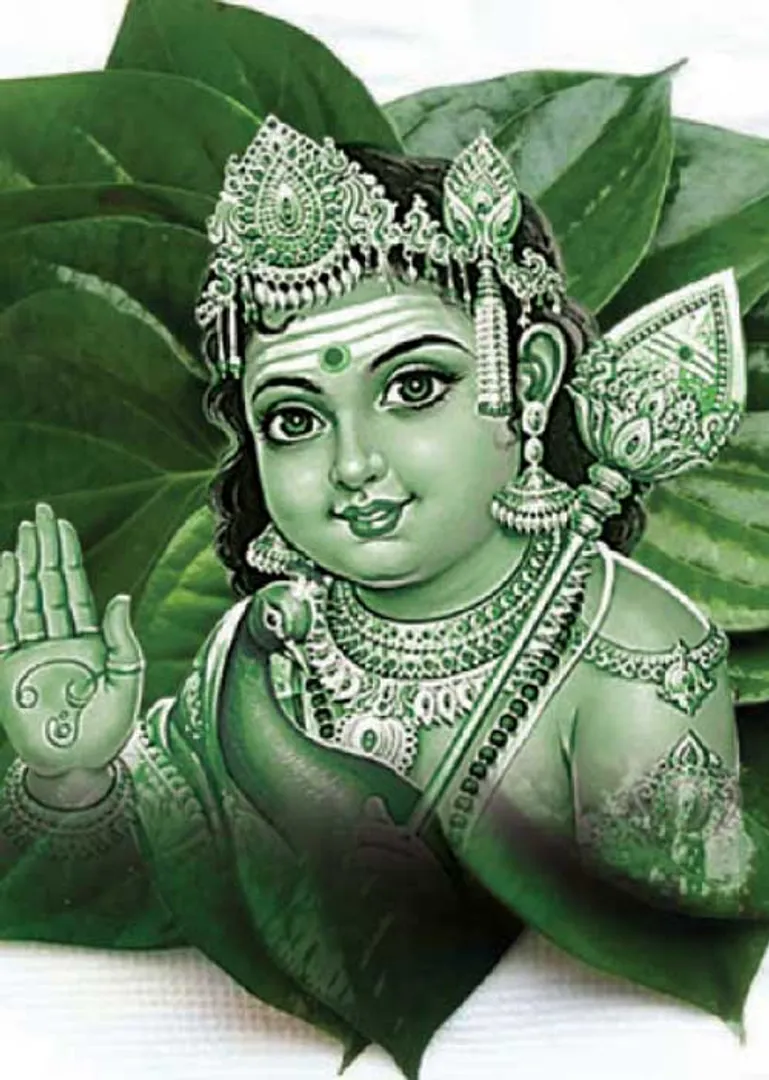 /idhalgal/om/actor-rajesh-writes-thousand-wonders-awesome-series-19