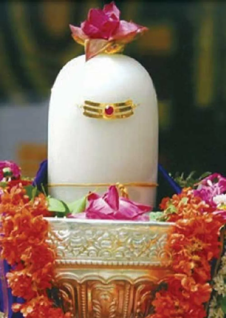 /idhalgal/om/exciting-benefits-subramania-sivacharya